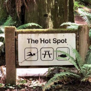 The Hotspot Sign by Ann Yager