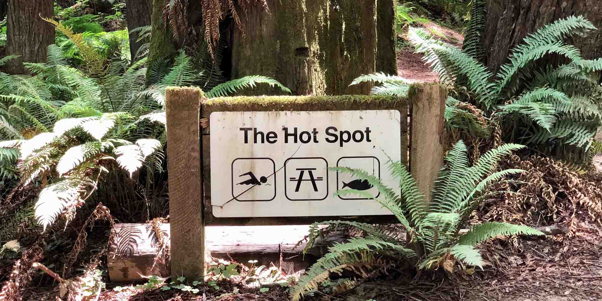 The Hotspot Sign by Ann Yager